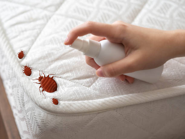 Best Pest Prevention Services  in Murray, KY